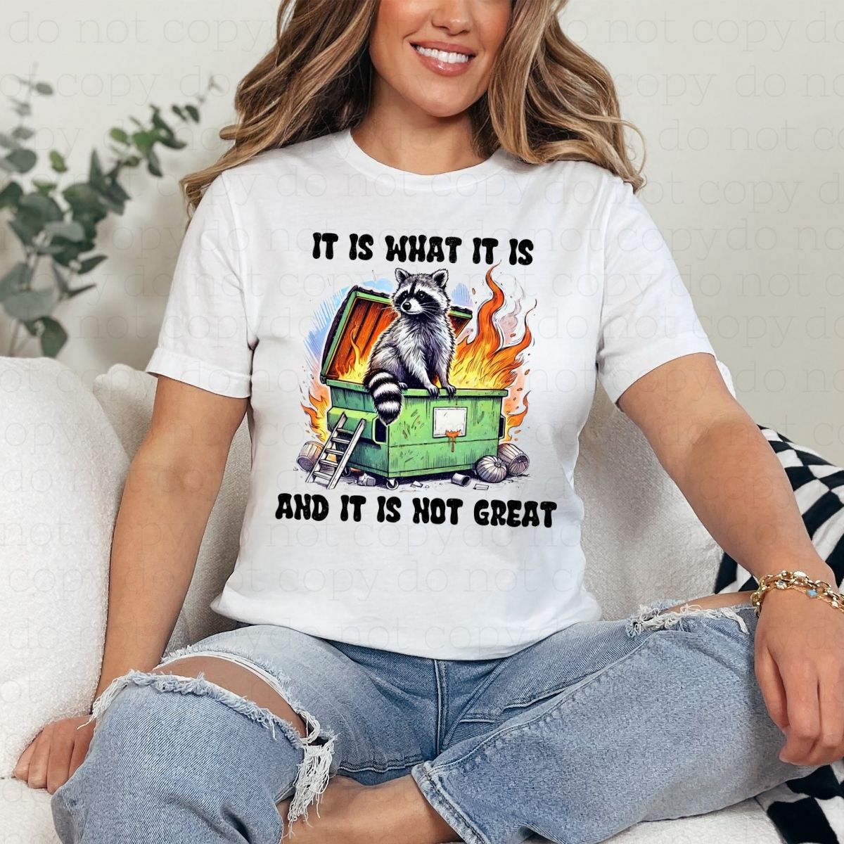 IT IS WHAT IT IS AND IT IS NOT GREAT - DTF TRANSFER - Hectic Momma Printing