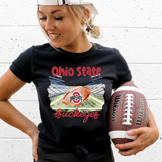 Ohio State Football DTF transfer