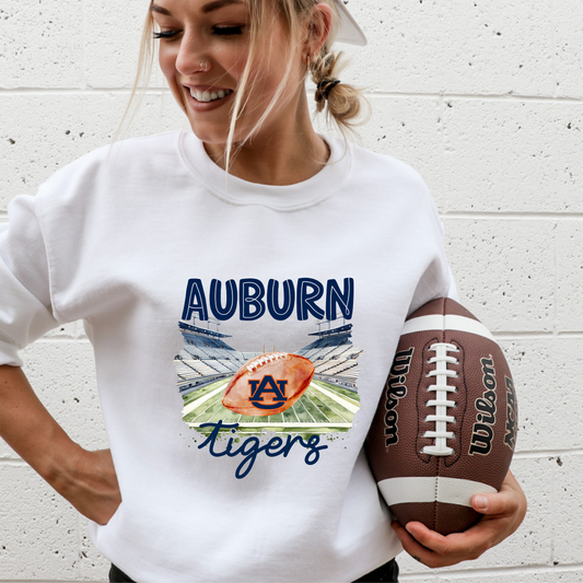 Auburn Tigers football dtf transfer