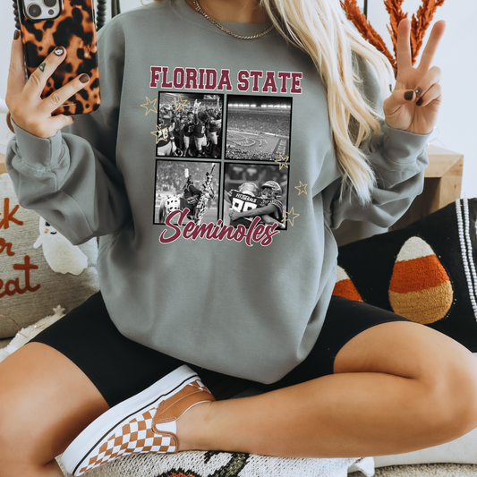 Florida State Seminoles Collage dtf transfer