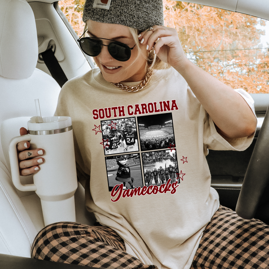 south Carolina gamecocks collage dtf transfer