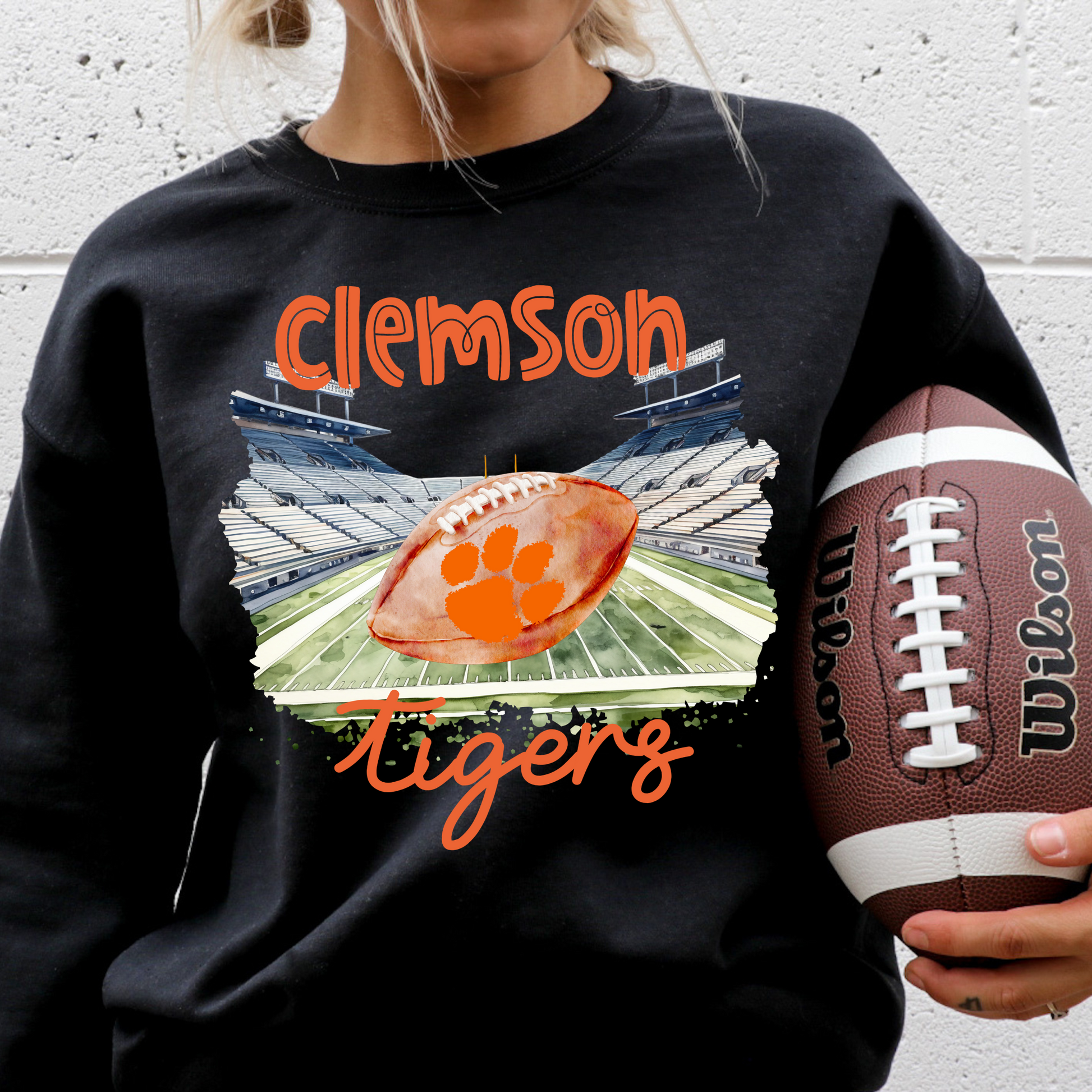 Clemson Tigers Football DTF transfer