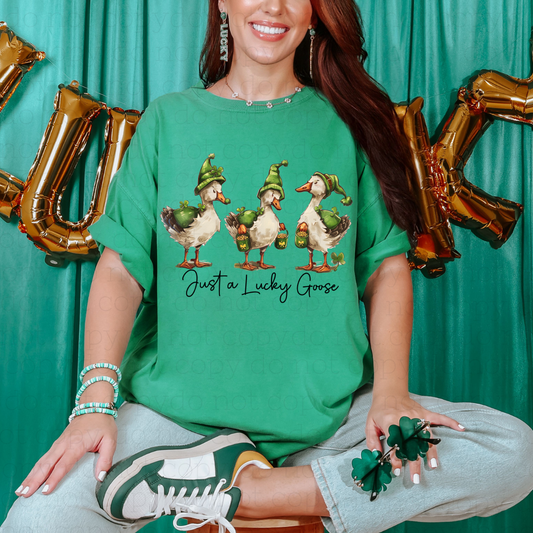 JUST A LUCKY GOOSE - DTF TRANSFER - Hectic Momma Printing