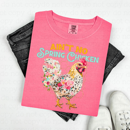 AIN'T NO SPRING CHICKEN - DTF TRANSFER
