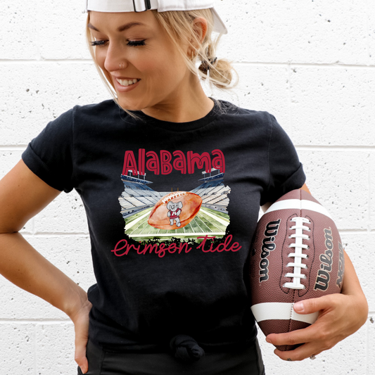 Alabama Football DTF transfer