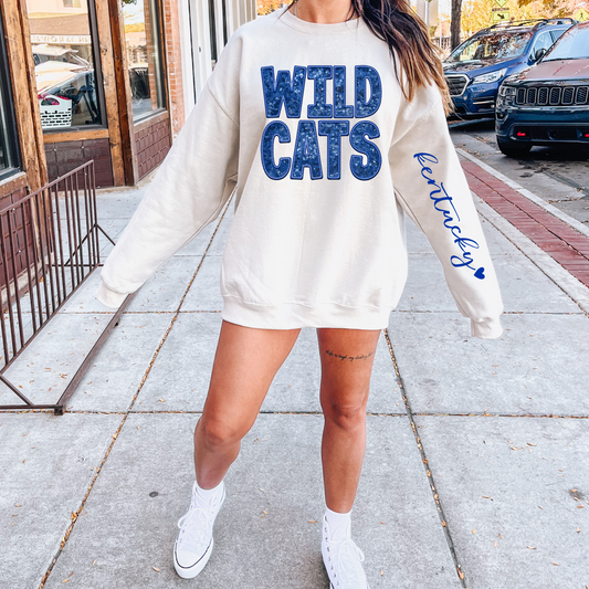 Wildcats  Blue DTF Transfer